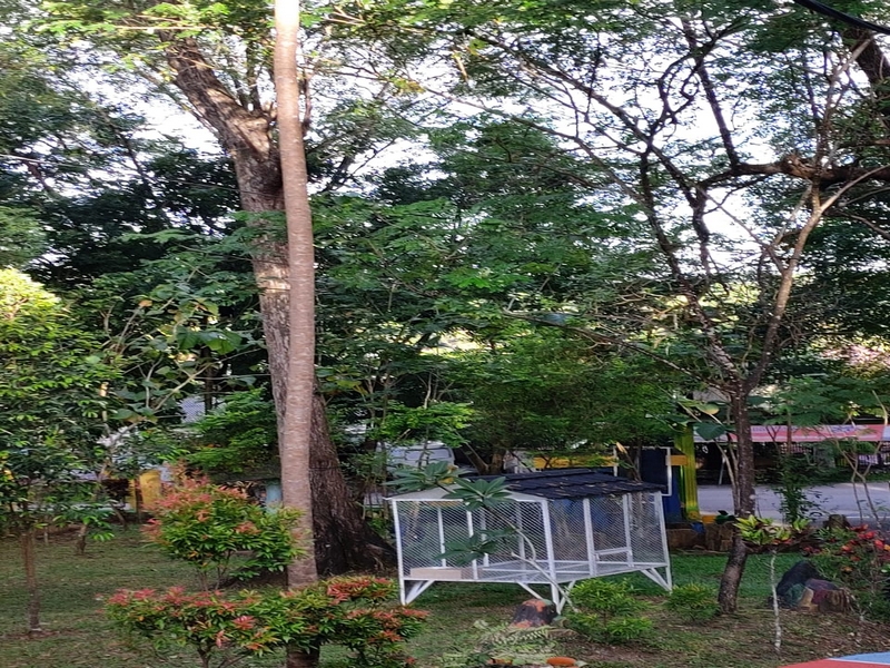 Adiwiyata Nasional 9